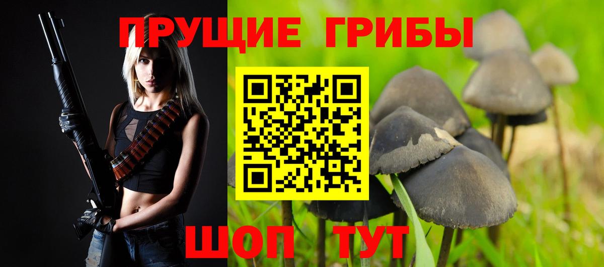 Ногинск  Псилоцибиновые грибы GOLDEN TEACHER  Галлюциногенные грибы Magic Shrooms  Вход с VPN 